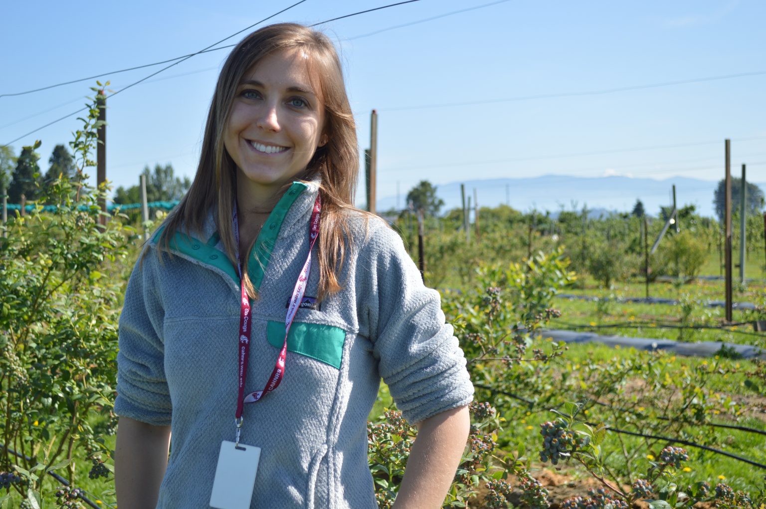 Our Team – Blueberry Pollination Project