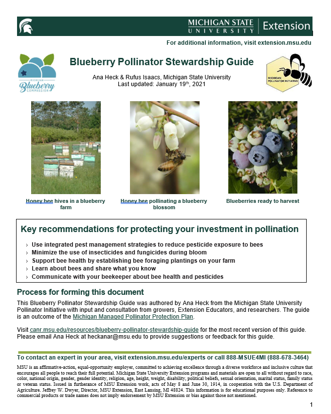 Blueberry Pollinator Stewardship Guide cover page